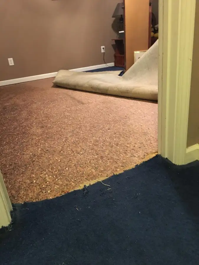 Carpet pad removal revealing water damage during Water Mitigation Services in Mount Pleasant
