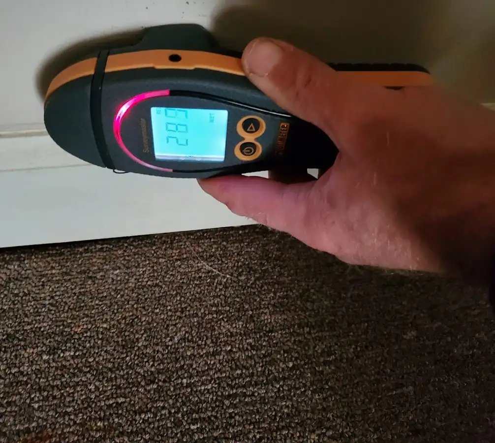 Moisture detection at baseboard during Sewage Cleanup & Sanitation in Mount Pleasant